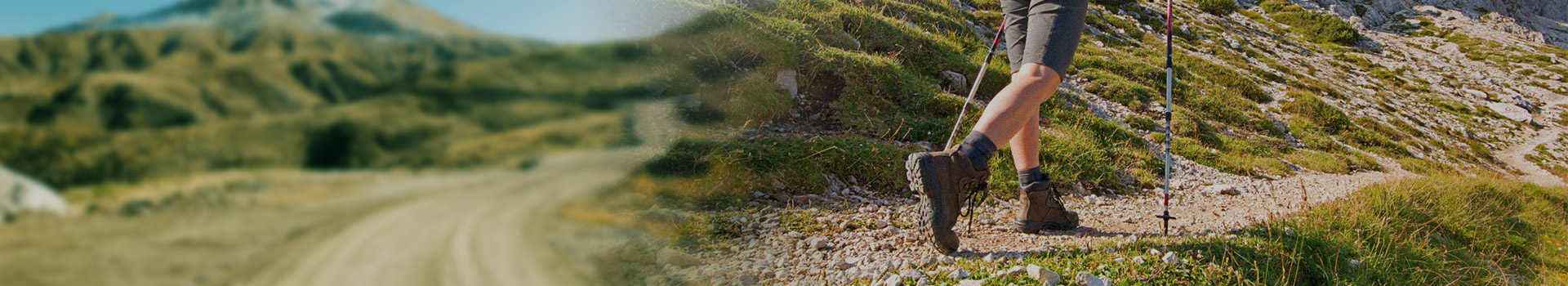 politique de confidentialité